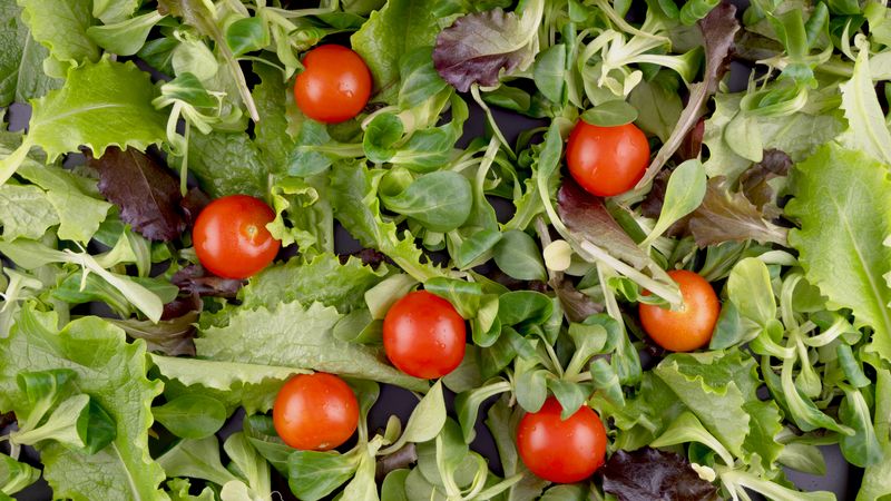 Costa Vida Garden Salad